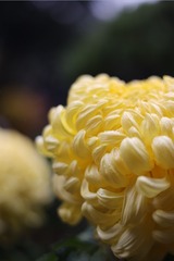 D4811A4F-A499-4ED5-BD34-E0E17019955E/L0/001
