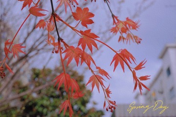 7337A21B-10BE-4498-818C-AC8483EE183B/L0/001