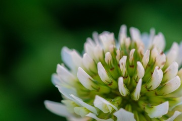 4C098B99-8D69-4260-A59F-7C26FE7D1903/L0/001