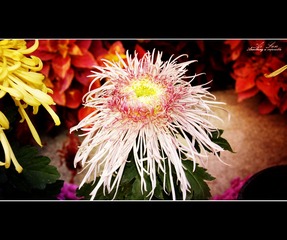 086CD4BB-E1F3-40B2-95DC-99E2D2240314/L0/001