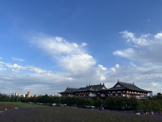 D1793B0E-4145-44BD-A5BE-5470A9F84DC1/L0/001