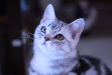 112889