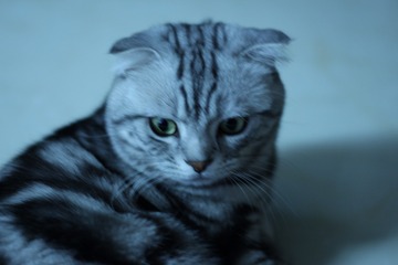 8524
