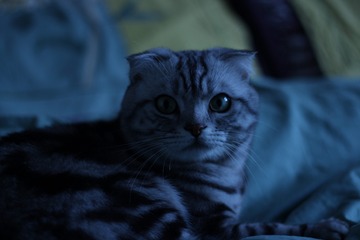 8454