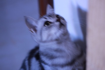 112903