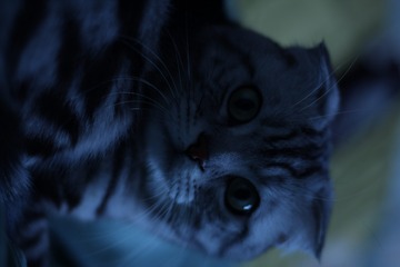 8453