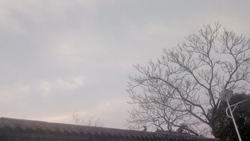1794888