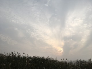 D86E1D1D-E7B1-4564-AB27-F4F857DBDA8A/L0/001