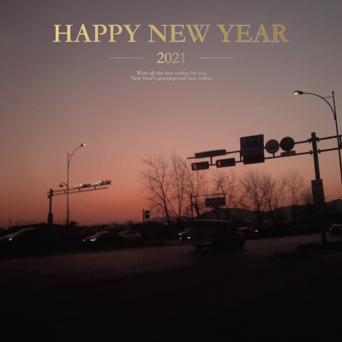 happynewyear2021系列05