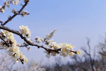 F6D624AA-CFF5-4B38-848A-15AB9A7063C2/L0/001