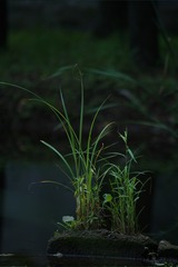 85FE74D2-363D-4706-B700-5089FBFE4705/L0/001