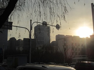 563893FD-673D-4B16-AD03-3676FC802D22/L0/001