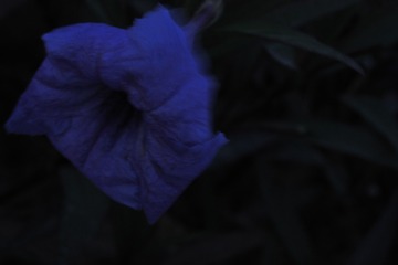 7C727D46-3E0A-4951-BE8E-FFE1D5A3AD26/L0/001