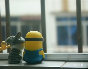 20086