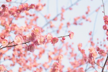 A3F5FF2C-B84C-4A13-91A9-91F12428EAE2/L0/001