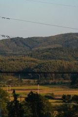 2F91FC19-79C8-4B82-9DEA-9105EE832A84/L0/001