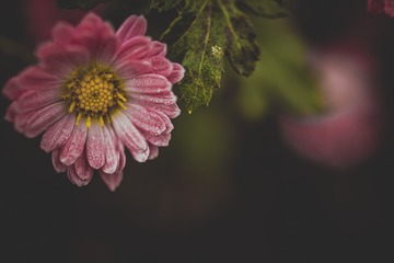 1258932