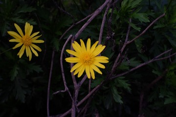 828CCE0D-1105-42B5-8FFF-02DA9B3458F3/L0/001