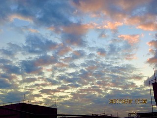 FCDA352A-684A-4DC9-B427-17C0DFE0CDA4/L0/001