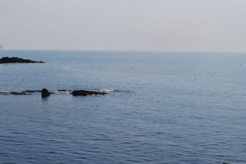 D9A64160-092A-4697-8C29-57731B08A295/L0/001