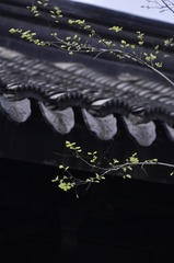 62400