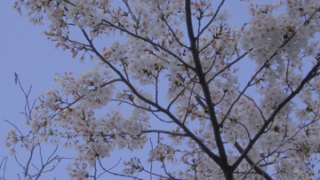 C17BC232-53BD-49E3-A9BC-A47D22C4B649/L0/001