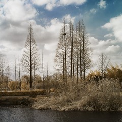 BB6D9153-A857-40F9-BE86-37F82008BE16/L0/001
