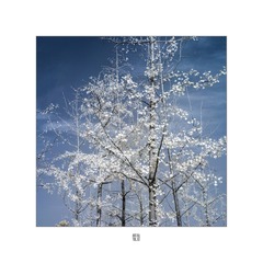 BD4066F1-1D3C-4841-A6DB-09273106A0E2/L0/001
