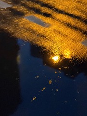 367284A8-83BD-4BB5-986D-3C70FC501719/L0/001