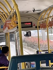 7D59A763-2E22-4ADB-B9A5-64C8269928C1/L0/001