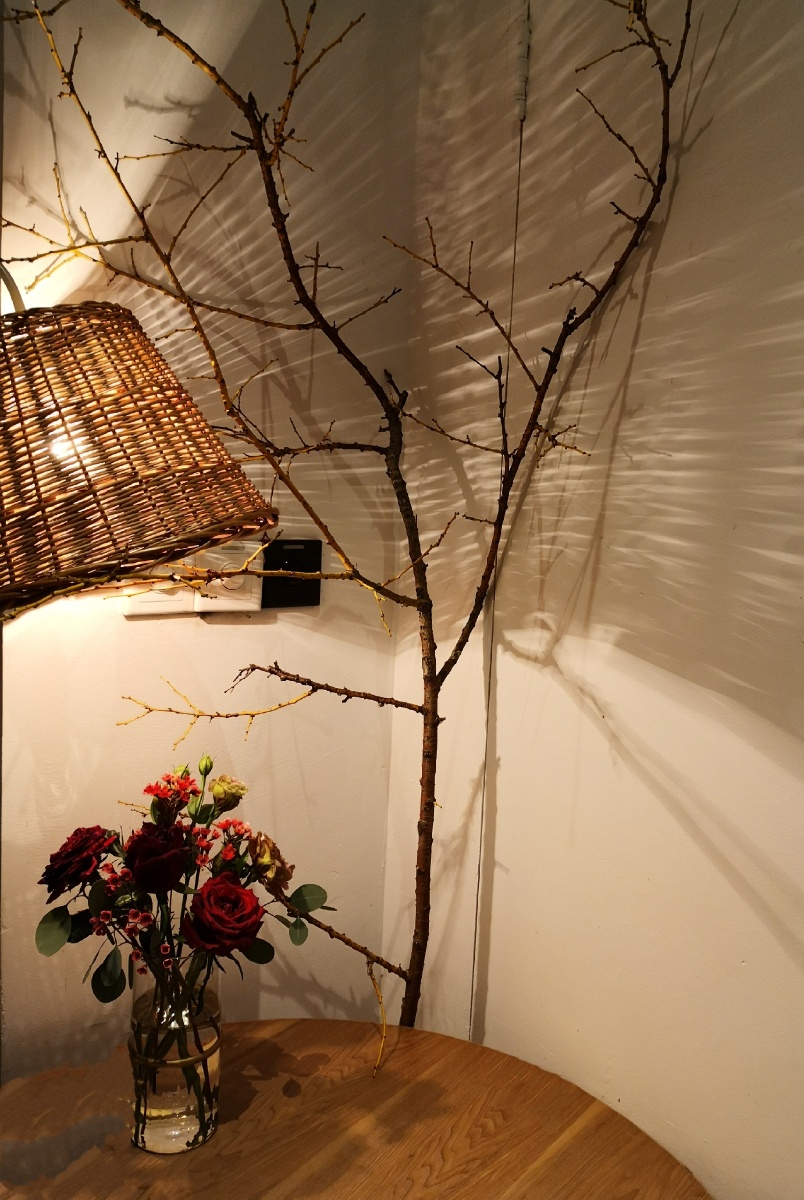 角落花影 - 摄影师韦小小 - 图虫