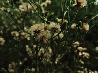 8B67042A-2F44-426C-A33B-9101B504B05B/L0/001