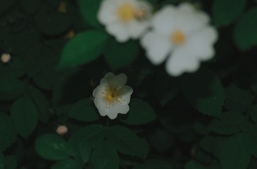 191090