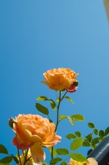 7712