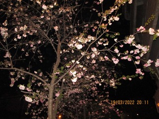 3B0DD2E5-3D8C-4BB0-AF86-0CD67EC7F825/L0/001