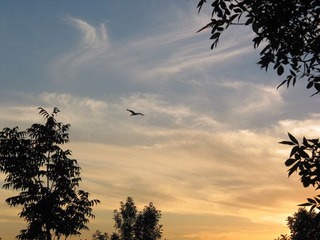 evening3