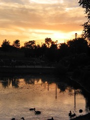 evening2