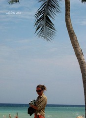 Under Coconut Tree