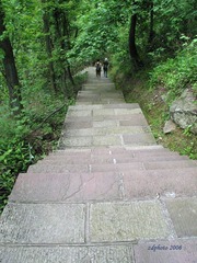 Flagstone path