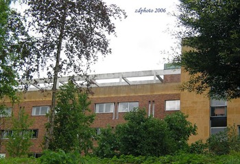 Tree Building