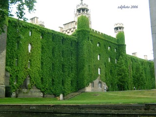 Some College