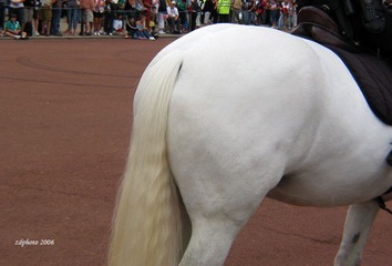 Pure white