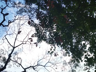1357659