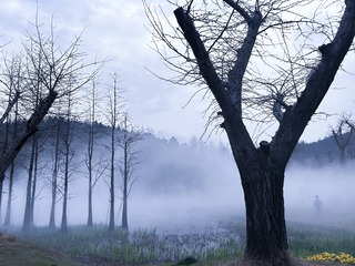 729F0471-D2D4-4664-9347-477A16D72CF8/L0/001