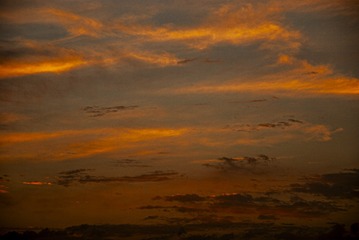 1251361