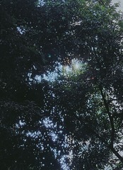 C93583AF-9FC4-4617-A552-EDD0AF0632C5/L0/001