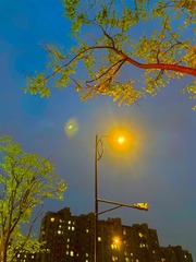 2884448F-7240-4663-B962-A0D83111E1DF/L0/001