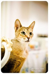 Pulupulu's portrait #06