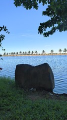 1000051813
