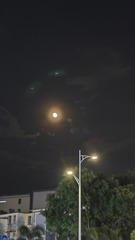 1000055147